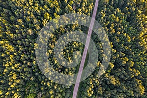 Drone view of road and forest in golden time