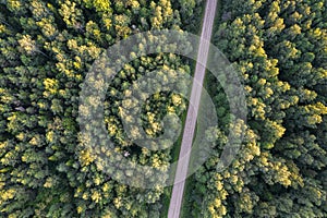 Drone view of road and forest in golden time