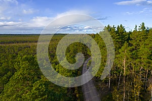 Drone view of road and forest in golden time