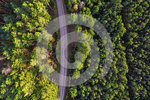 Drone view of road and forest in golden time