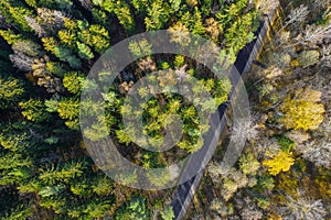 Drone view of road and forest in golden time