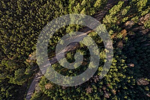 Drone view of road and forest in golden time