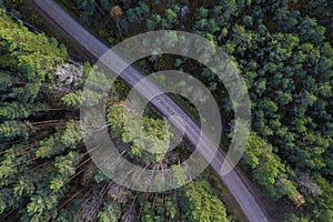 Drone view of road and forest in golden time