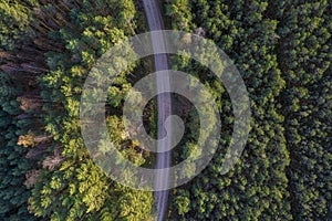 Drone view of road and forest in golden time