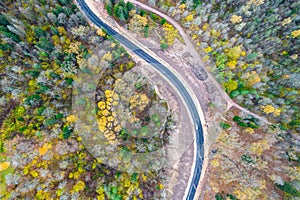 Drone view of road and forest in golden time