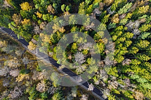 Drone view of road and forest in golden time