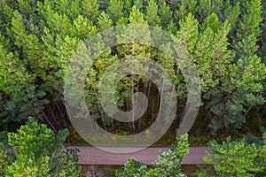 Drone view of road and forest in golden time