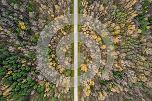 Drone view of road and forest in golden time