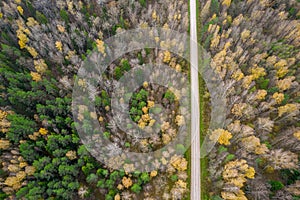 Drone view of road and forest in golden time