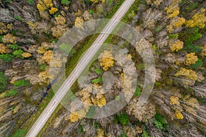 Drone view of road and forest in golden time