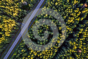 Drone view of road and forest in golden time