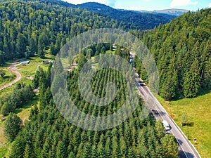 Drone view of a road and forest in Vrancea County, Romania