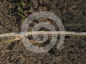 Drone view of a road between leafless trees on a sunny day in spring