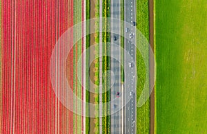 Drone view of a road in the middle of a field. Landscape from a drone. Road and transport. Car traffic.