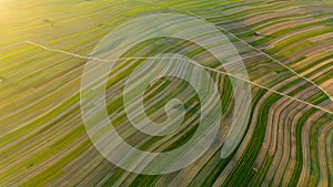 Drone view of roads through fields in Suloszowa village in Krakow County, Poland