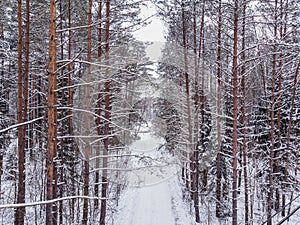 Drone view of snowy winter road surrounded pine and fir forest