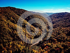 Drone view of stunning colorful autumn fall forest at sunset