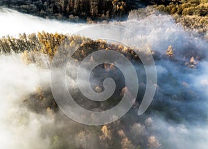 Drone view of sun rising over fog forest - sunbeam