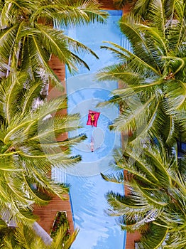 Drone view at swimming pool with palm trees, couple men and women in swimming pool