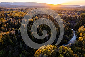 Drone view to autumn forest and small mountain river in the Far East of Russia