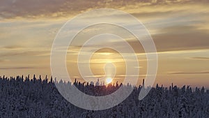 Drone view of the tops of the snow-covered fir trees in Lapland