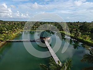 Drone view at Wasur, South Papua, Indonesia photo