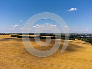 Drone view of wheet field at sunset