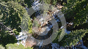 Drone Zoom In Towards Mountain River's Cascades in an Evergreen Forest in Winter