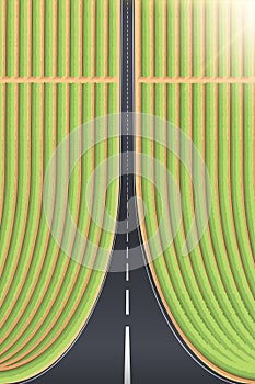 Droneception Road Landscape