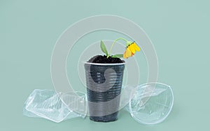 A drooping flower in a plastic cup filled with soil on a green background. The concept of environmental pollution. Land pollution