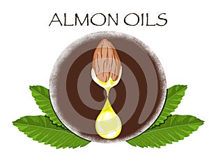 A drop of almond oils from almond seed with leaves decoration