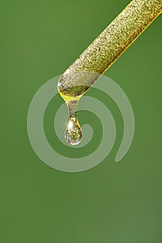 A drop of cosmetic aromatic oil drips from the pipette.