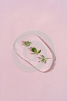 A drop of cosmetic gel with thyme on a pink background.