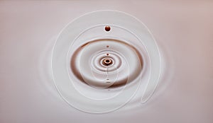 drop created splash with circle ripple