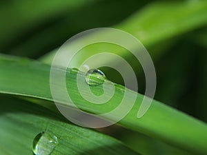 A drop of dew on a green blade of grass.