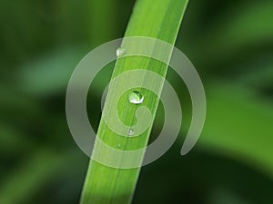 A drop of dew on a green blade of grass.