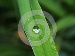 A drop of dew on a green blade of grass.