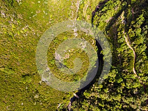 Drop down view of river runing through forest.