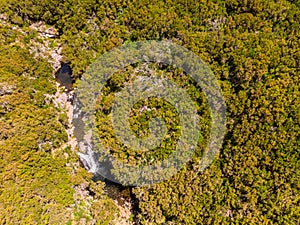 Drop down view of river runing through forest.