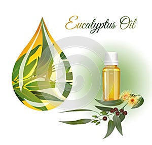 Drop of eucalyptus oil and a blooming twig