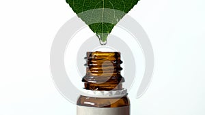 Drop falling from leaf into bottle, organic healthcare, homeopathy, macro shot