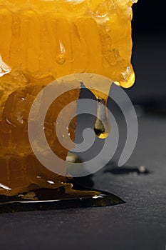 Drop of honey on honeycomb cut, close up.