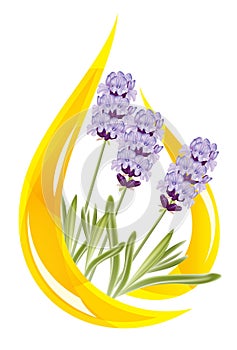 A drop of lavender essential oil.