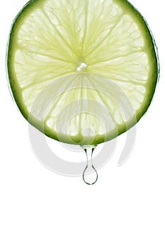 Drop of Lime Juice