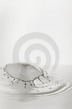 A drop of milk