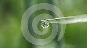 A drop of morning dew on the tip of the grass
