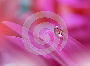 Drop on purple background closeup. Tranquil abstract art photography. Print for Wallpaper. Floral fantasy design.Beautiful Nature.