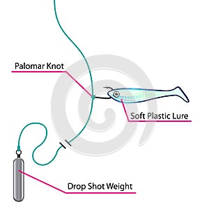 Drop Shot lure setup bottom fishing