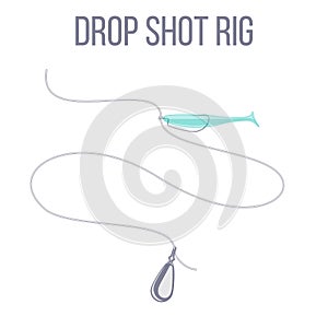 Drop shot rig sinker and soft plastic lure bait setup for catching predatory fish.
