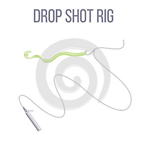 Drop shot rig with stick sinker and soft plastic lure worm bait setup.